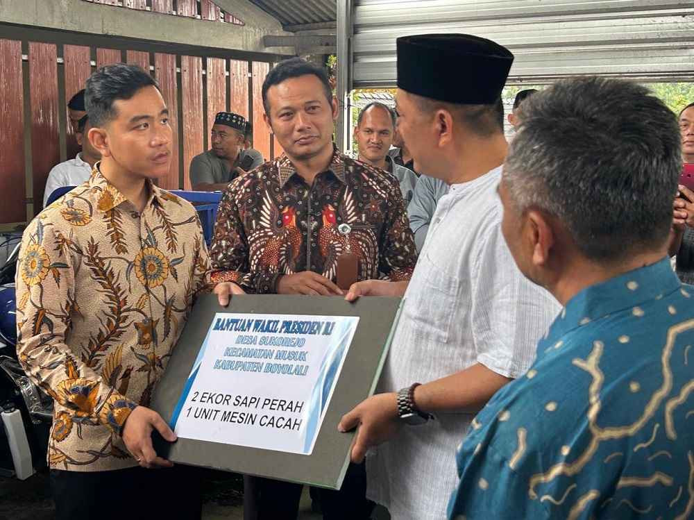Wapres Gibran Minta Peternak Sapi Selesaikan Masalah PMK