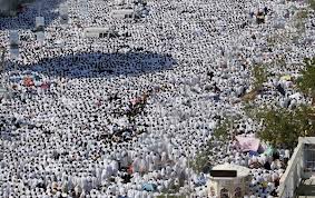 Berikut Keutamaan Hari Arafah, Puasanya Hapus Dosa selama Setahun