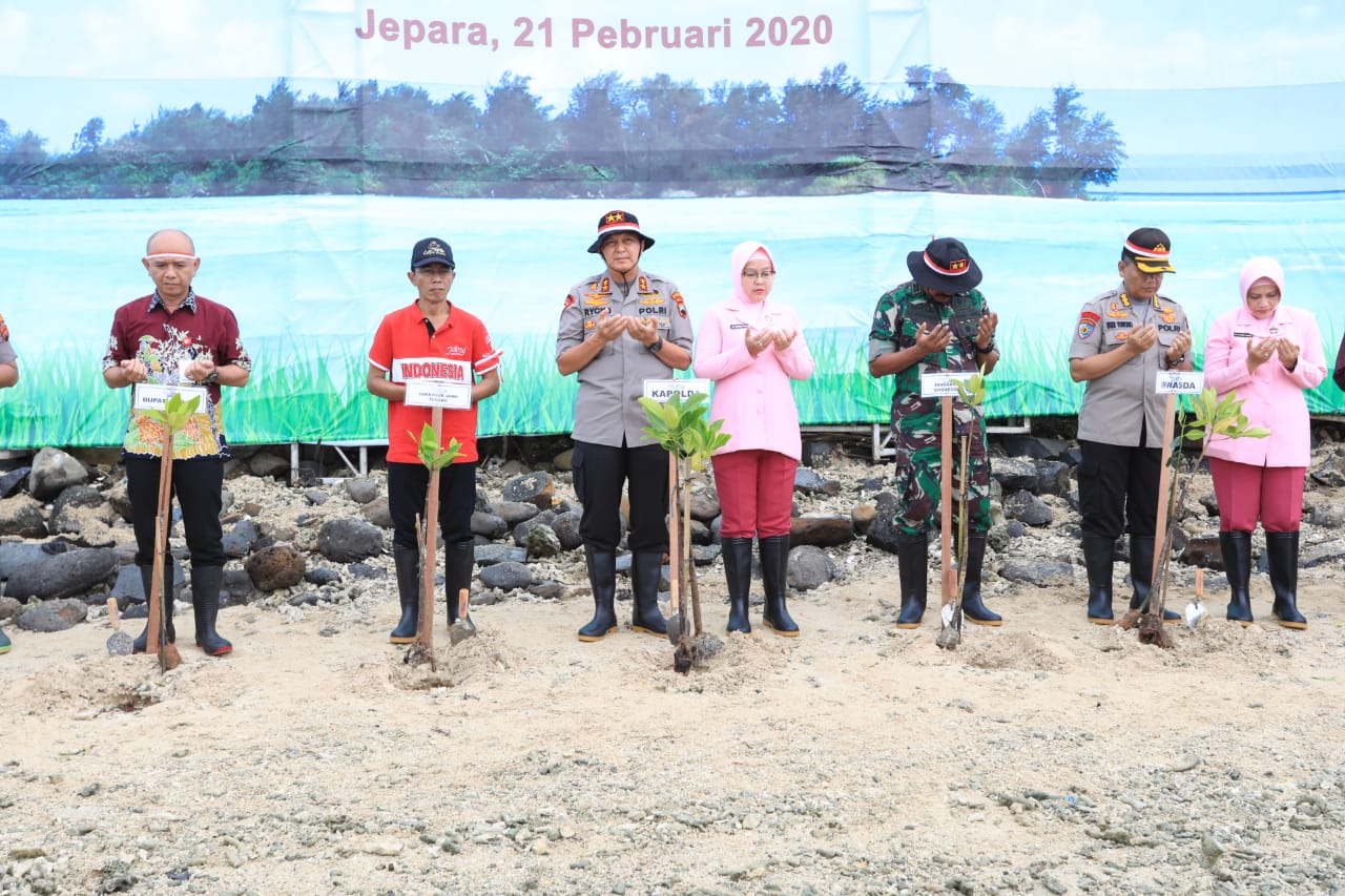 Cegah Abrasi di Pantura Jateng dengan Tanam Jutaan Mangrove