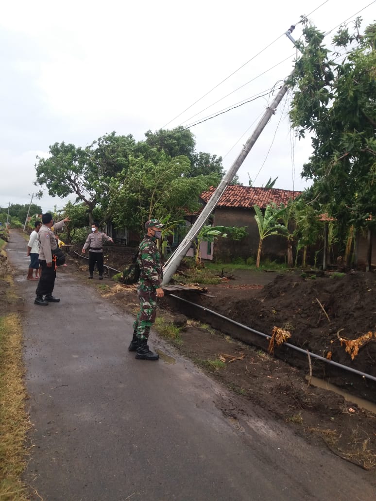 Angin Kencang, Rumah Tertimpa Pohon Jati dan Tiga Tiang Listrik Roboh