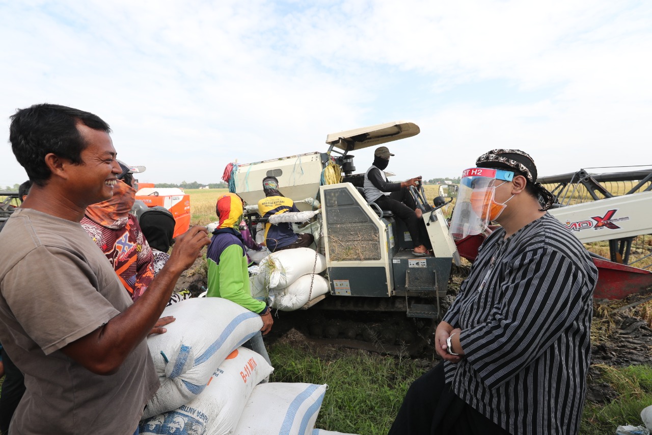 Blusukan ke Sawah, Gus Yasin Bantu Petani Bulak Pancing Panen Padi