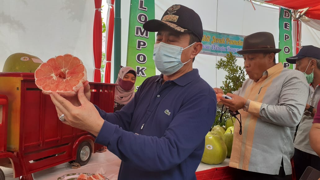 Jeruk Pamelo Disebut Jeruk Surga