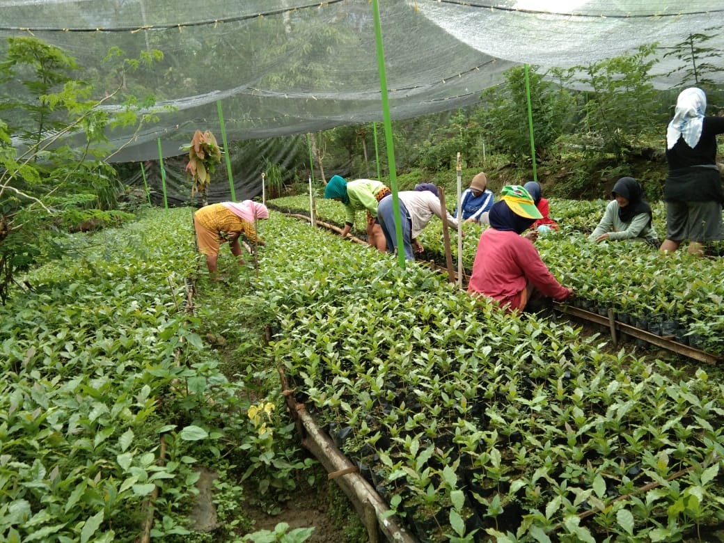 Respon Positif Bangkitnya Ekonomi Desa dan UMKM di Tengah Pandemi