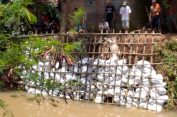 Warga Ngembal Kulon Gelar Gotong Royong Buat Penguat Tanggul untuk Antisipasi Banjir