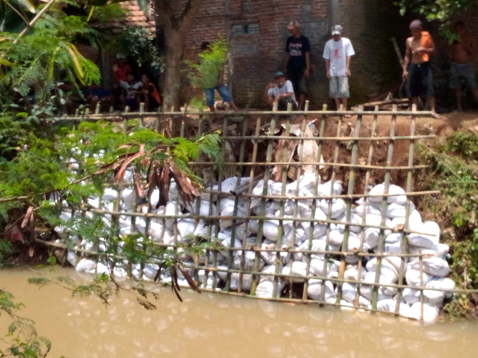 Warga Ngembal Kulon Gelar Gotong Royong Buat Penguat Tanggul untuk Antisipasi Banjir