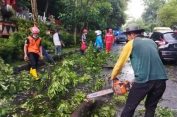 BPBD Temanggung Minta Masyarakat Waspadai Potensi Angin Kencang dan Puting Beliung