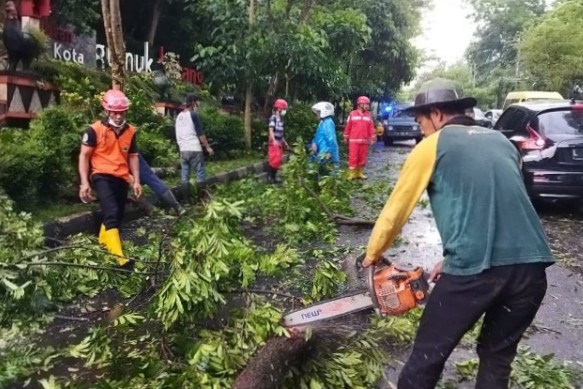 BPBD Temanggung Minta Masyarakat Waspadai Potensi Angin Kencang dan Puting Beliung