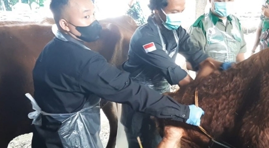 Hewan Kurban di Rembang Harus Kantongi Surat Keterangan Sehat