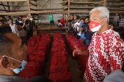 Produktivitas Bawang Merah Turun, Ganjar Dorong Pemulihan Lahan Pertanian