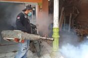 Warga Kauman Terserang DBD, Dinkes Batang Lakukan Pengasapan
