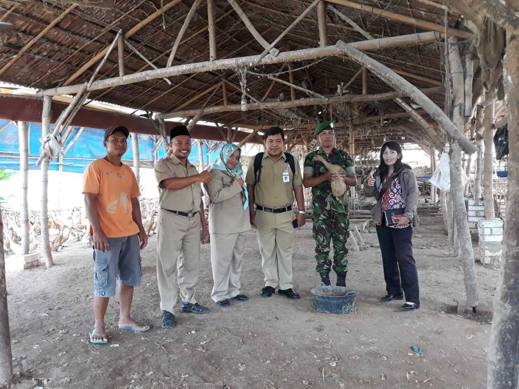 Kabupaten Pati Punya Tiga Komoditas Peternakan Andalan