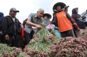 Ganjar Dorong Petani Bawang Brebes Go Organik
