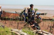 Peringati HUT ke-34, Ikatan Mahasiswa Pati Tanam 500 Bibit Mangrove
