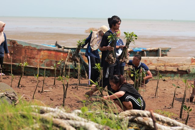 Peringati HUT ke-34, Ikatan Mahasiswa Pati Tanam 500 Bibit Mangrove