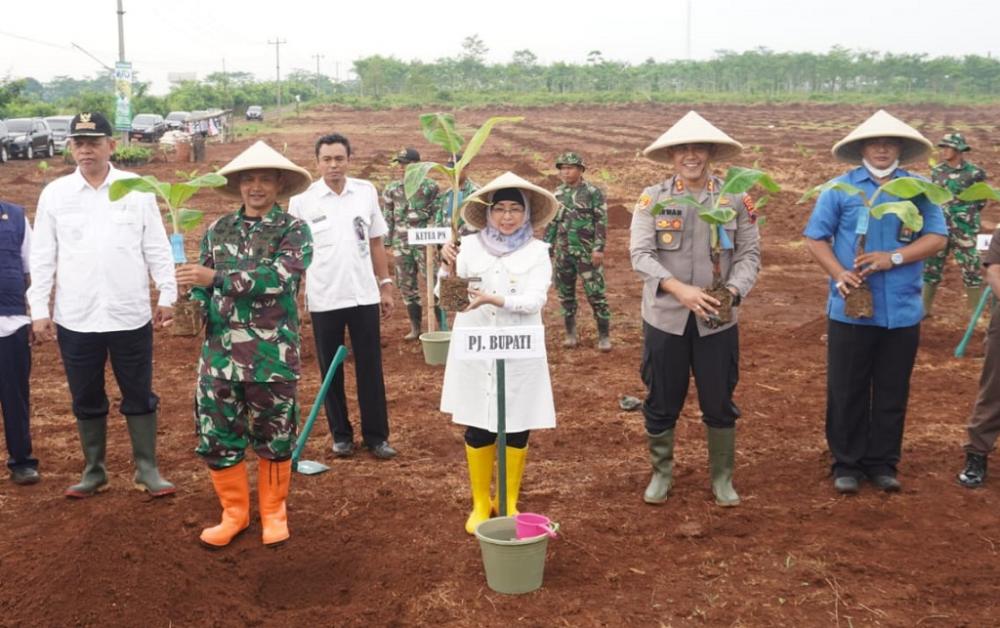 Genjot Ketahanan Pangan, Pj Bupati Batang dan Dandim Tanam Pisang Lokal