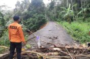 Hujan Deras, BPBD Temanggung; Waspadai Potensi Longsor dan Banjir