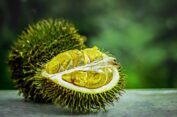 5 Manfaat Buah Durian Bagi Kesehatan Tubuh