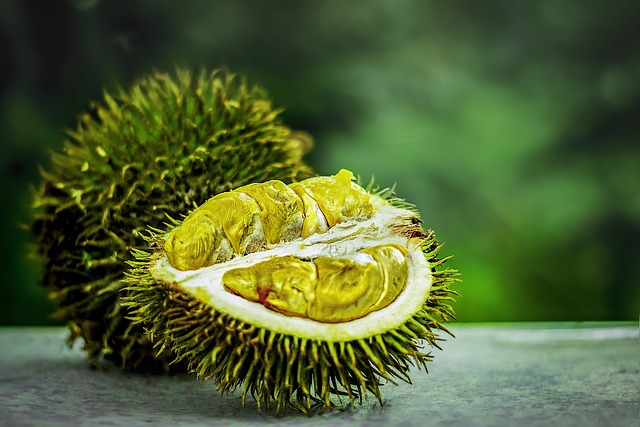 5 Manfaat Buah Durian Bagi Kesehatan Tubuh