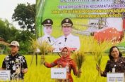 Bupati Demak Panen Raya dan Resmikan Saung Tani