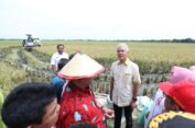 Jaga Stabilitas Harga Beras di Jateng, Ganjar Ajak Petani Milenial Genjot Produktivitas Padi