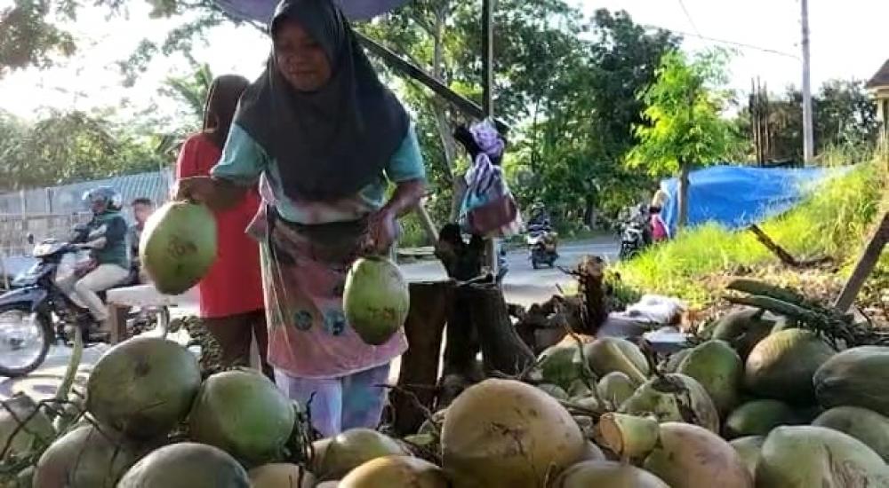 Awal Puasa Ramadan, Pedagang Es Kelapa Muda di Batang Mampu Jual 100 Butir Sehari