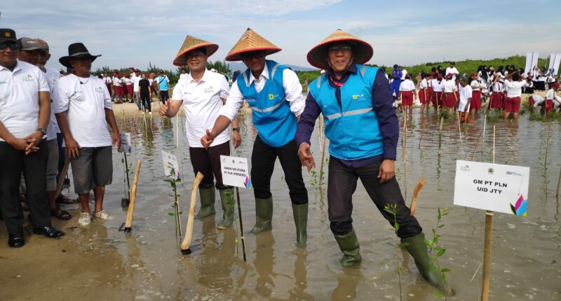 PLN Tanam 400 Ribu Lebih Mangrove untuk Mewujudkan Pantura Lestari