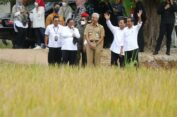 Dampingi Presiden Tinjau Panen Raya, Ganjar Dukung Indonesia Jadi Lumbung Pangan Dunia