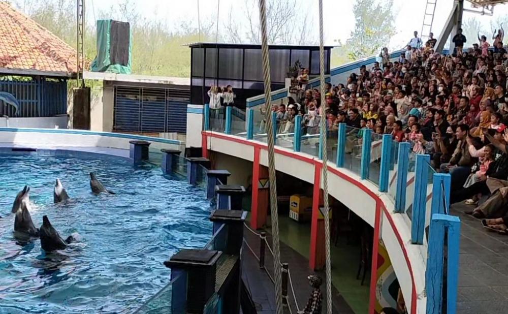 Safari Beach Jateng Bakal Dipadati 5 Ribu Pengunjung Saat Syawalan