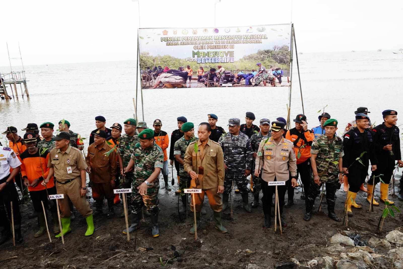 Sekda Jumani Tanam 2.000 Mangrove di Pantai Idola Dukuhseti