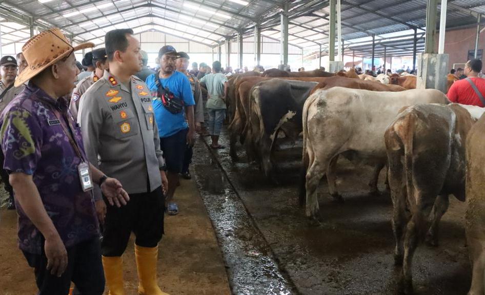 Polres dan DKPP Jepara Cek Kesehatan Hewan Kurban Jelang Iduladha