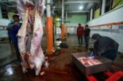 Sudah Bersertifikat Halal, RPH Salatiga Milik Ganjar Makin Mantap Sembelih Sapi