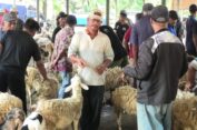 Masyarakat Diminta Lebih Hati-hati Pilih Hewan Kurban