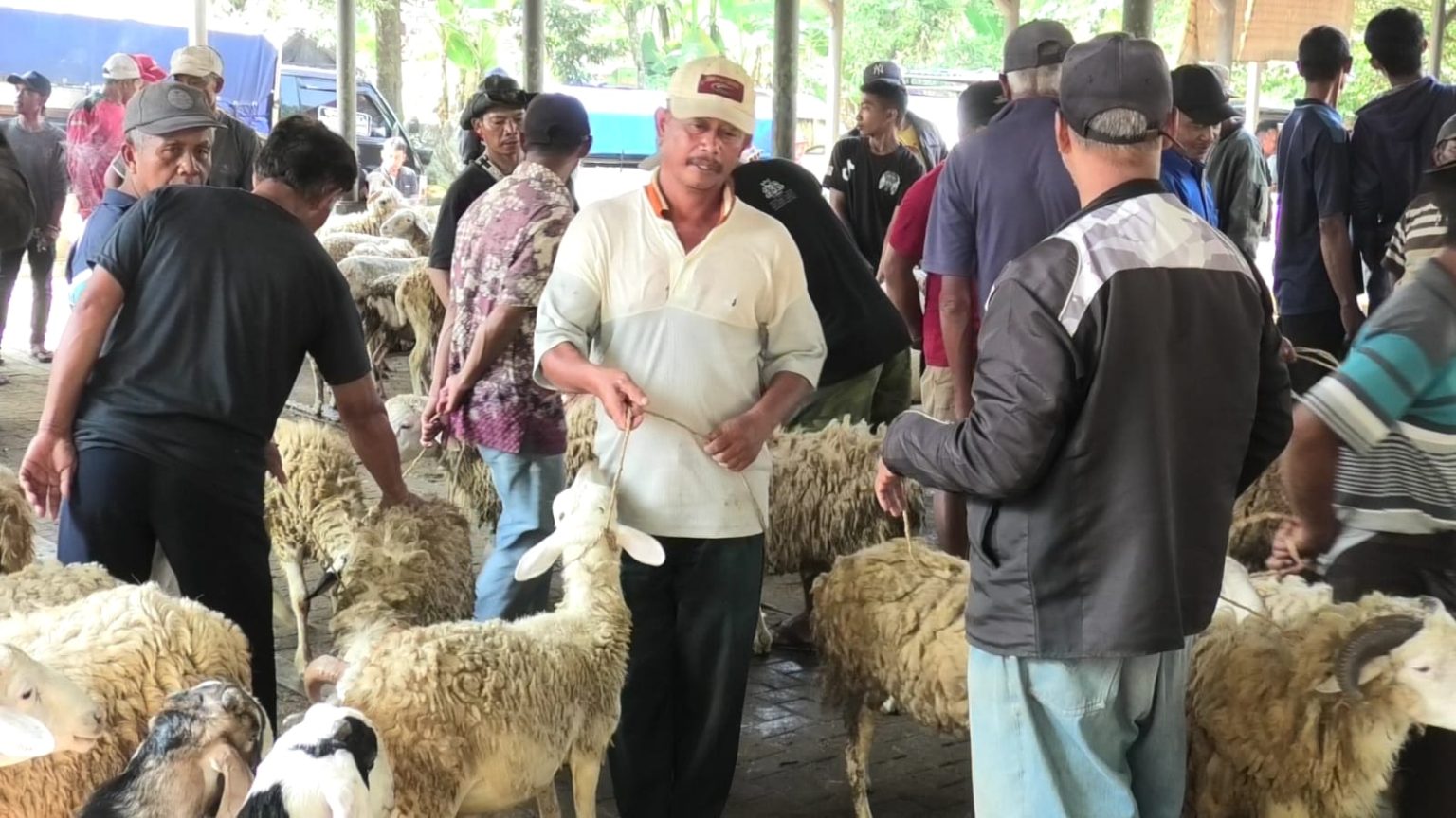 Masyarakat Diminta Lebih Hati-hati Pilih Hewan Kurban