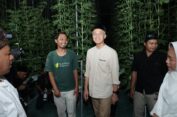 Ganjar Apresiasi Petani Milenial Purbalingga, Manfaatkan Tanah Bengkok Jadi Agrowisata