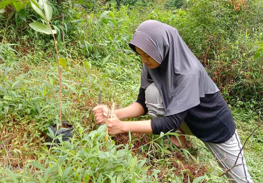 Racika Palm Lakukan Konservasi untuk Sediakan Bahan Makanan Owa Jawa
