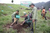 Dandim 0713/Brebes: Rehabilitasi Hutan dengan “Tangan Tuhan”