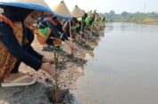 Peduli Lingkungan, SDIU Fadlun Nafis Tanam Mangrove di Pantai Kropak Bondo