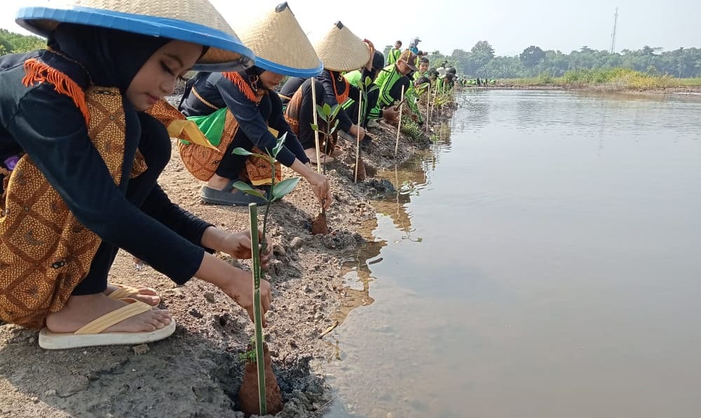Peduli Lingkungan, SDIU Fadlun Nafis Tanam Mangrove di Pantai Kropak Bondo