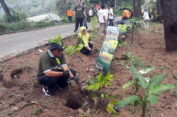 Peringati Hari Lahir, IPARI Lakukan Penanaman Sejuta Pohon
