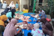 RPH Sambong Jadi Rujukan Penyembelihan Puluhan Hewan Kurban