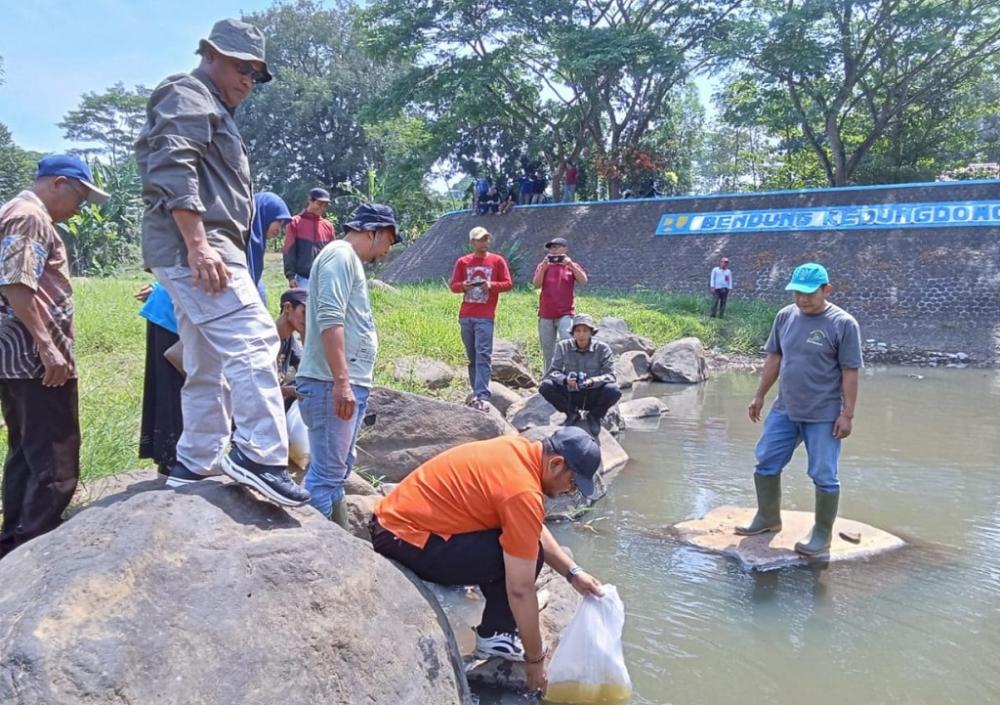 Tambah Populasi, Dislutkanak Batang Tebar Benih Ikan di Perairan Umum