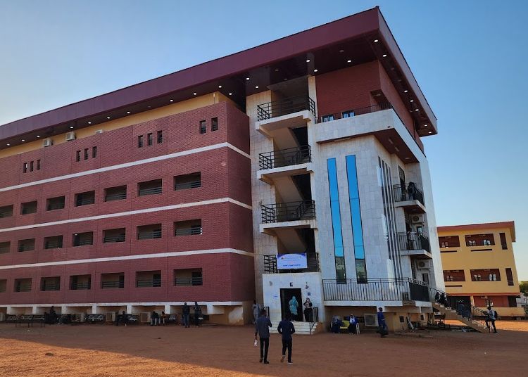 Panduan Lengkap untuk Kuliah di Sudan International University