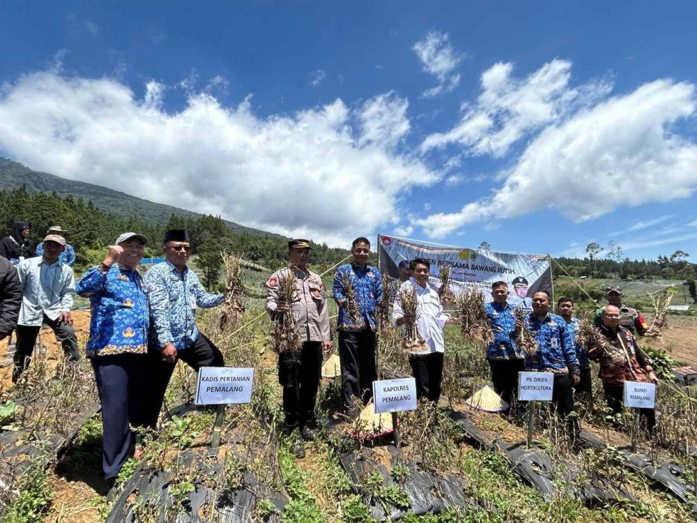 Bawang Putih Pemalang Tak Kalah dari Produk Impor