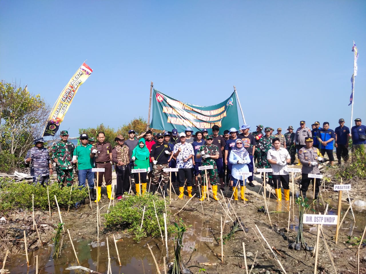 Cegah Abrasi, Ratusan Mangrove Ditanam di Pesisir Teluk Awur