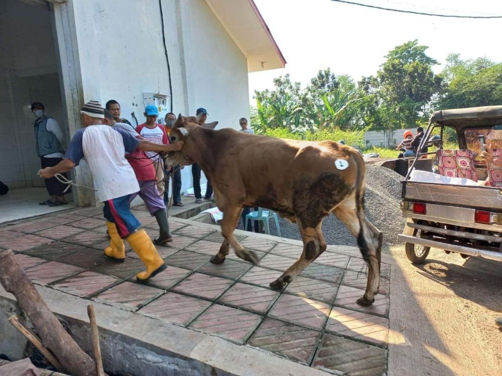 Dua RPH di Kota Pekalongan Kantongi Sertifikat Halal
