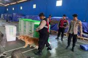 Sterilisasi Gudang Logistik KPU Jepara, Polisi Terjunkan Anjing Pelacak