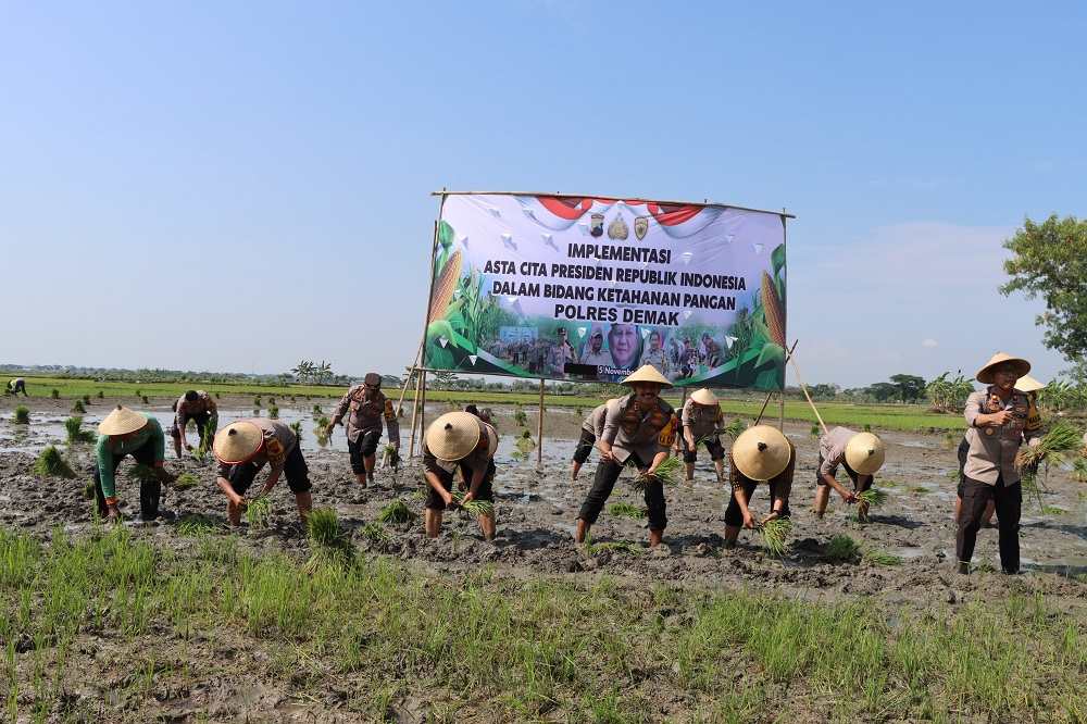 Dukung Program Asta Cita Presiden RI, Polres Demak Gelar Tanam Padi Serentak