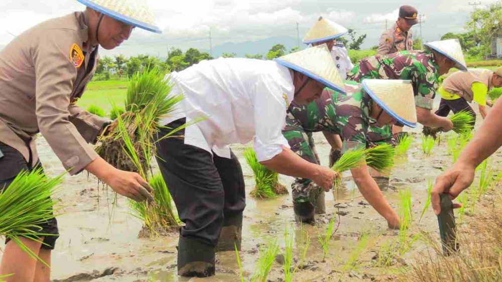 Petani di Rembang Diminta Waspadai Cuaca Ekstrem pada Musim Tanam I