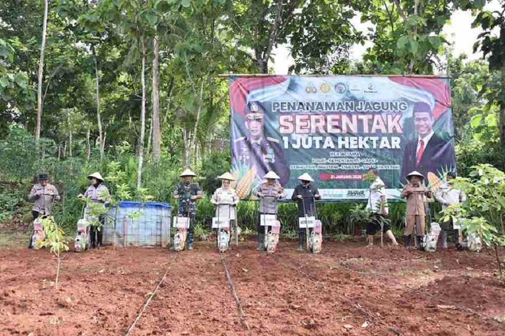 Program Tanam Jagung Serentak, Pemkab Sukoharjo Siapkan 250 Hektare Lahan