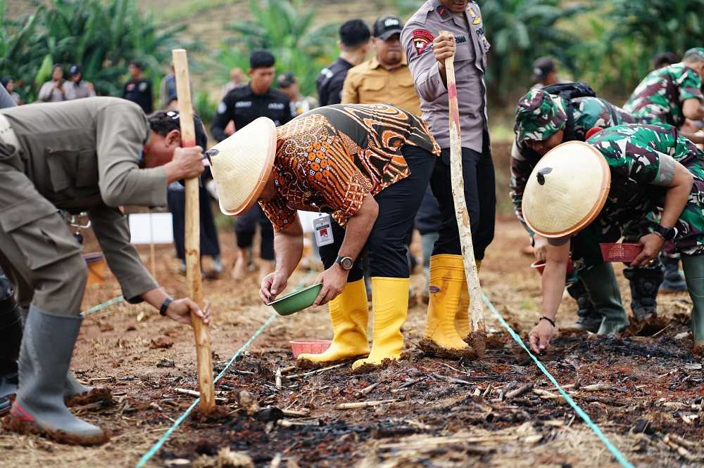Hadiri Penanaman Jagung Serentak, Pj Bupati Soroti Jagung Sebagai Komoditas Strategis